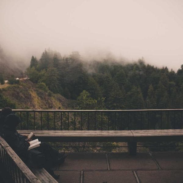 Full Property Management