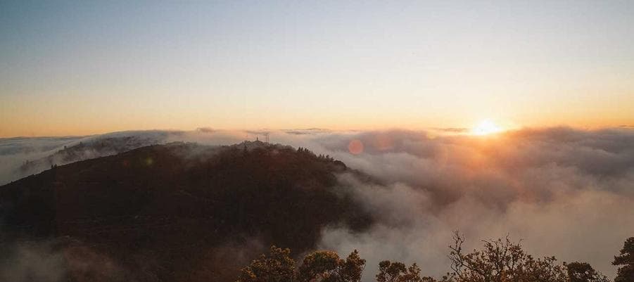 Property Maintenance